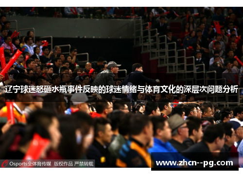 辽宁球迷怒砸水瓶事件反映的球迷情绪与体育文化的深层次问题分析