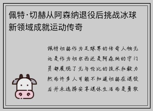 佩特·切赫从阿森纳退役后挑战冰球新领域成就运动传奇