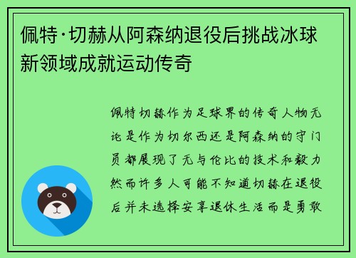 佩特·切赫从阿森纳退役后挑战冰球新领域成就运动传奇